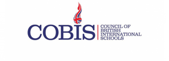 COBIS - Logo