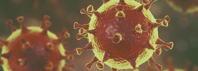 image representing the COVID-19 virus
