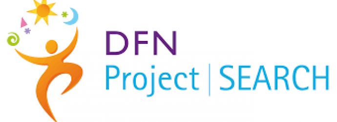 DFN project search logo