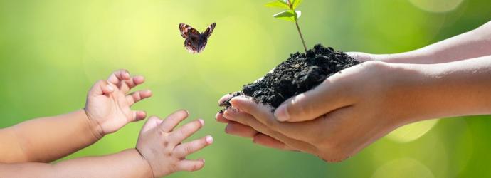 a stylised image on a green background of an early years child reaching out to an adult's hands which are cupping a pile of soil with a butterfly floating past